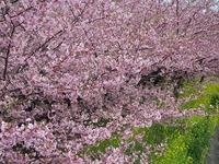 IMG_5314.jpg