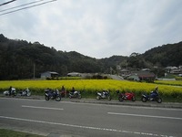 IMG_5344.jpg