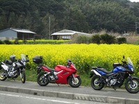 IMG_5345.jpg