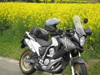 IMG_5347.jpg