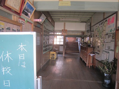 IMG_5365.jpg