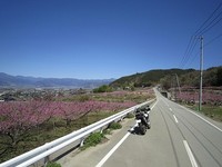 IMG_5448.jpg