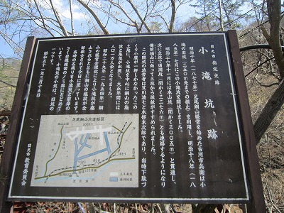 IMG_5470.jpg