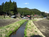 IMG_5493.jpg