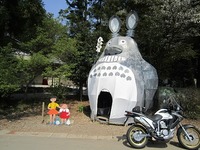 IMG_5518.jpg