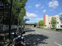 IMG_5596.jpg