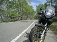 IMG_5687.jpg