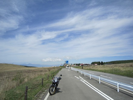 IMG_5699.jpg