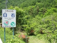 IMG_5712.jpg