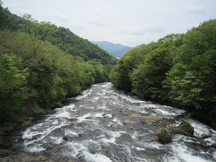 IMG_5743.jpg