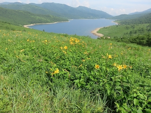 IMG_5746.jpg