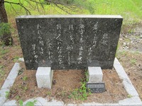 IMG_5762.jpg