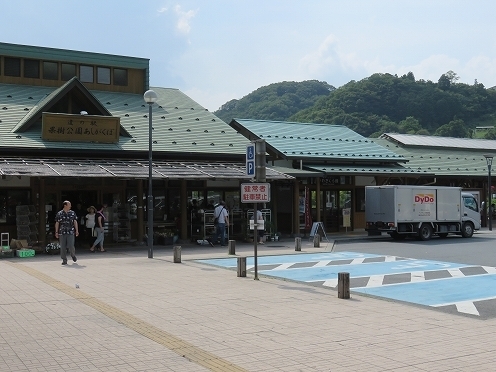IMG_5784.jpg