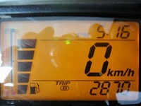 IMG_5799.jpg