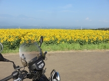 IMG_5826.jpg