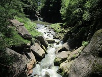 IMG_5868.jpg