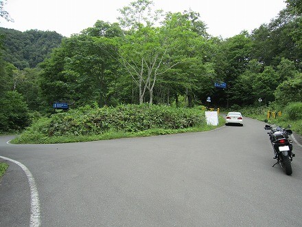 IMG_5935.jpg