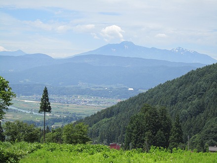 IMG_5971.jpg
