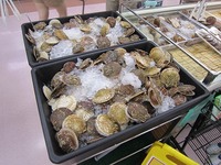 IMG_6006.jpg