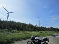 IMG_6012.jpg