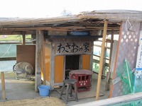 IMG_6079.jpg