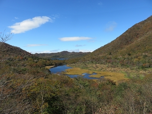 IMG_6104.jpg