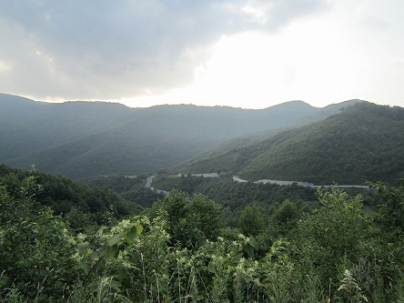 IMG_6139.jpg