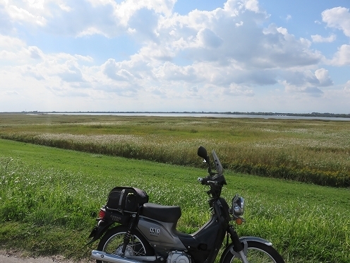 IMG_6150.jpg