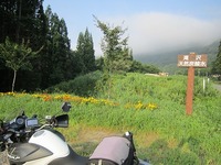 IMG_6197.jpg