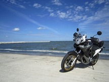 IMG_6267.jpg