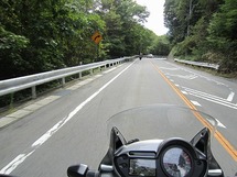 IMG_6279.jpg