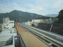 IMG_6315.jpg