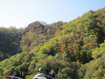 IMG_6347.jpg