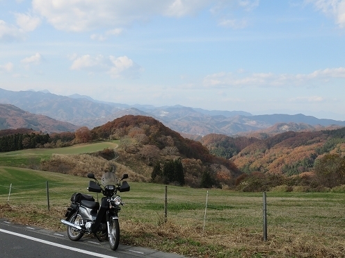 IMG_6393.jpg