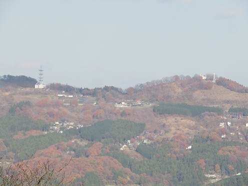 IMG_6404.jpg