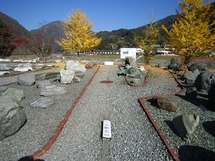 IMG_6450.jpg