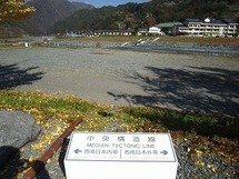 IMG_6452.jpg