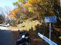 IMG_6453.jpg