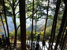 IMG_6472.jpg