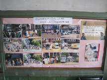 IMG_6490.jpg