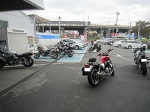 IMG_6515.jpg