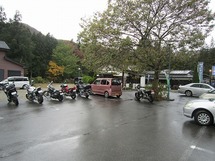 IMG_6519.jpg