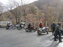 IMG_6521.jpg