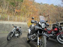 IMG_6523.jpg