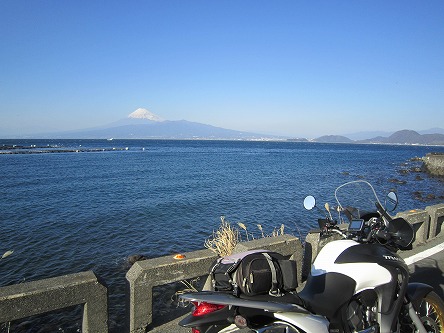 IMG_6597.jpg