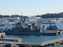 IMG_6603.jpg