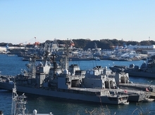 IMG_6604.jpg