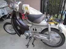 IMG_6622.jpg