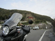 IMG_6664.jpg