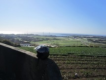 IMG_6821.jpg